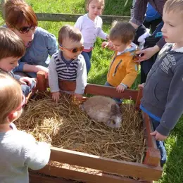 Atelier - Mon petit lapin