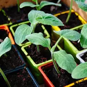 Atelier Mon territoire au fil de l'eau : Jardiner bio et durable