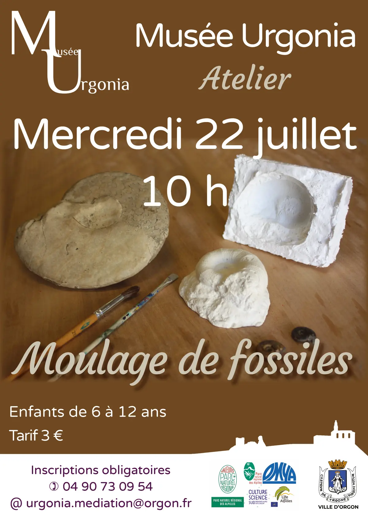 Atelier Moulage de fossiles