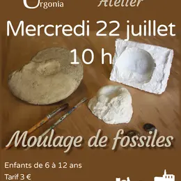 Atelier Moulage de fossiles