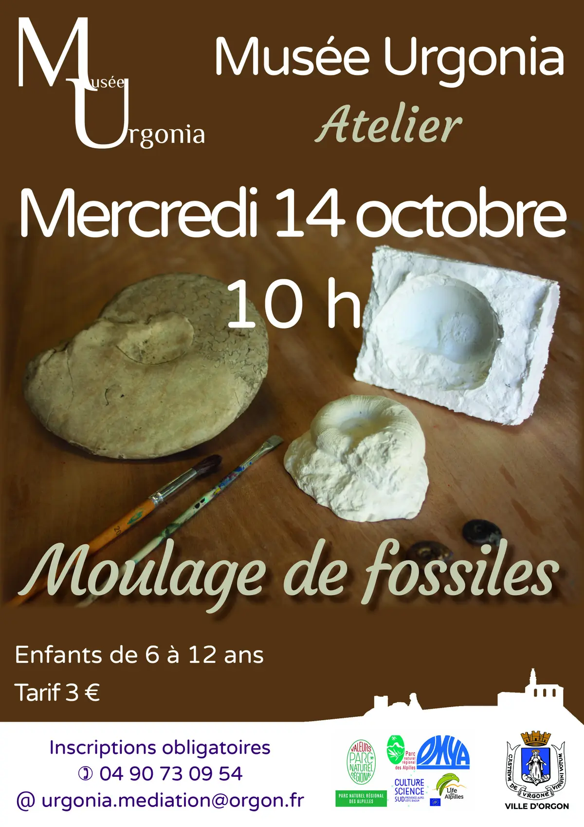 Atelier Moulage de fossiles
