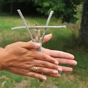 Atelier Musique verte