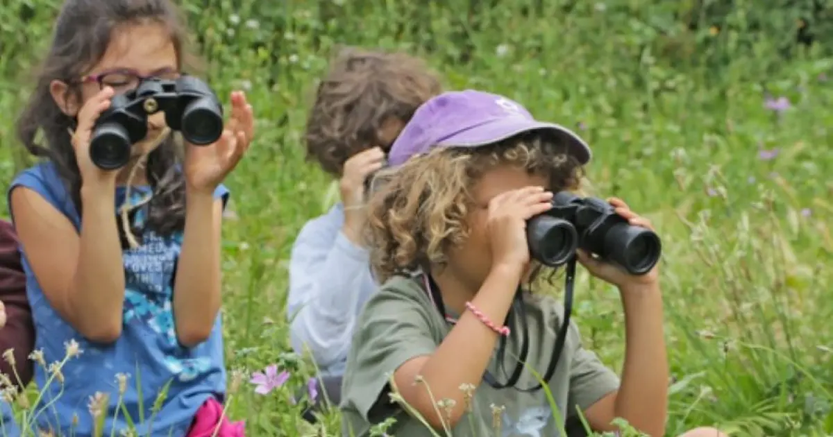 Atelier-nature (3-5 ans) : à la découverte des oiseaux