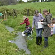 Atelier nature (3-5 ans) : autour de la mare