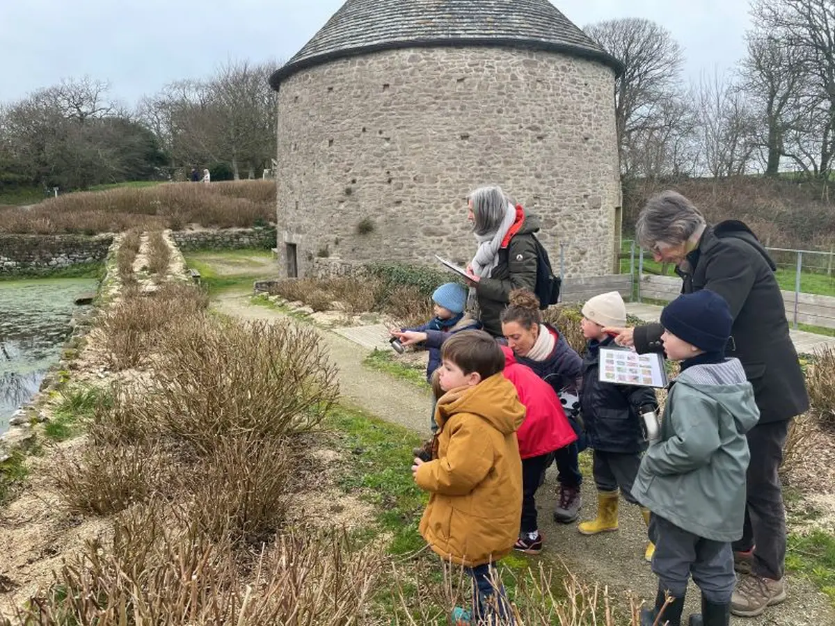 Atelier-nature (3-5 ans) : autour de la mare