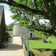 Atelier nature (6-12 ans) : l'arbre dans tous ses états