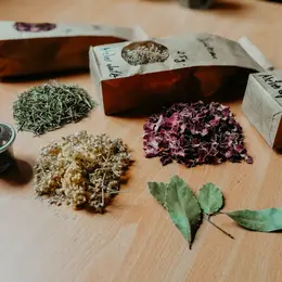 Atelier-nature (6-12 ans) : l'univers des plantes