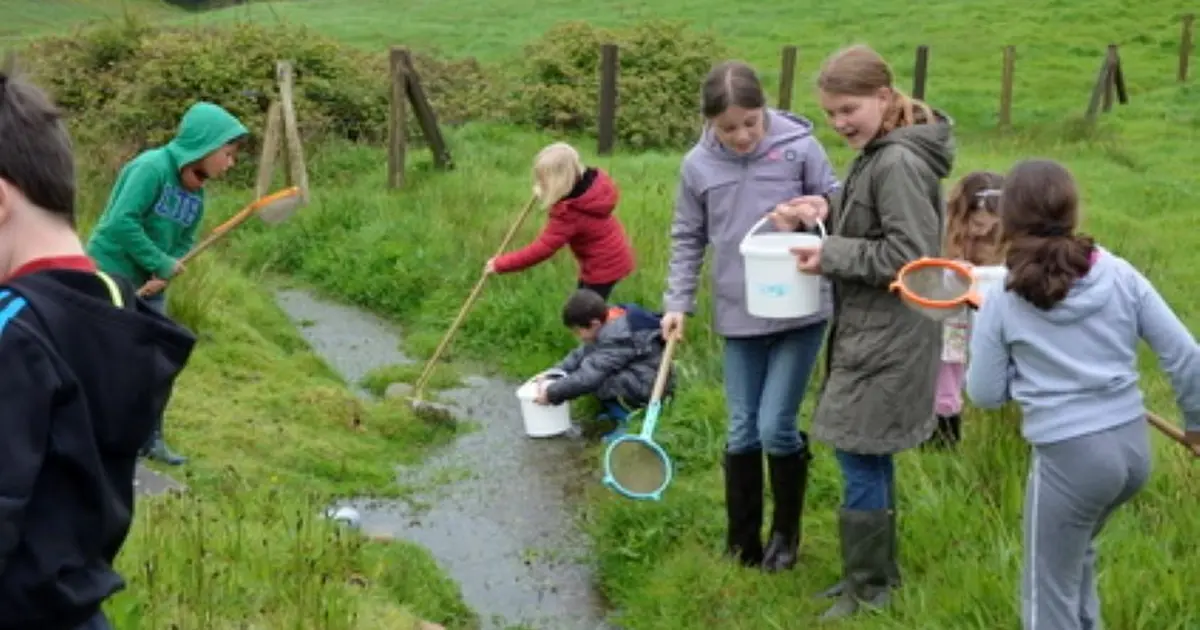 Atelier-nature (6-12 ans) : le monde fascinant des insectes