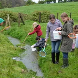Atelier-nature (6-12 ans) : le monde fascinant des insectes