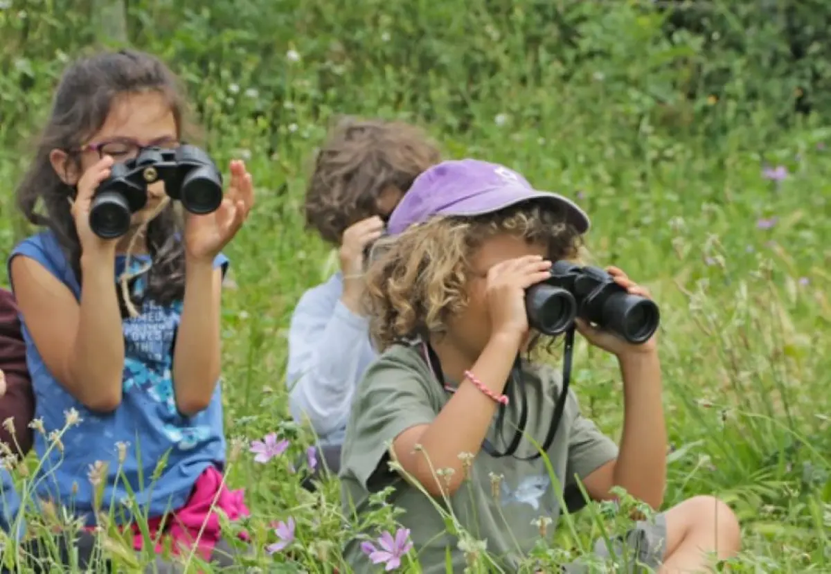 Atelier nature : à la découverte des oiseaux (3-5 ans)