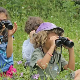Atelier nature : à la découverte des oiseaux (3-5 ans)