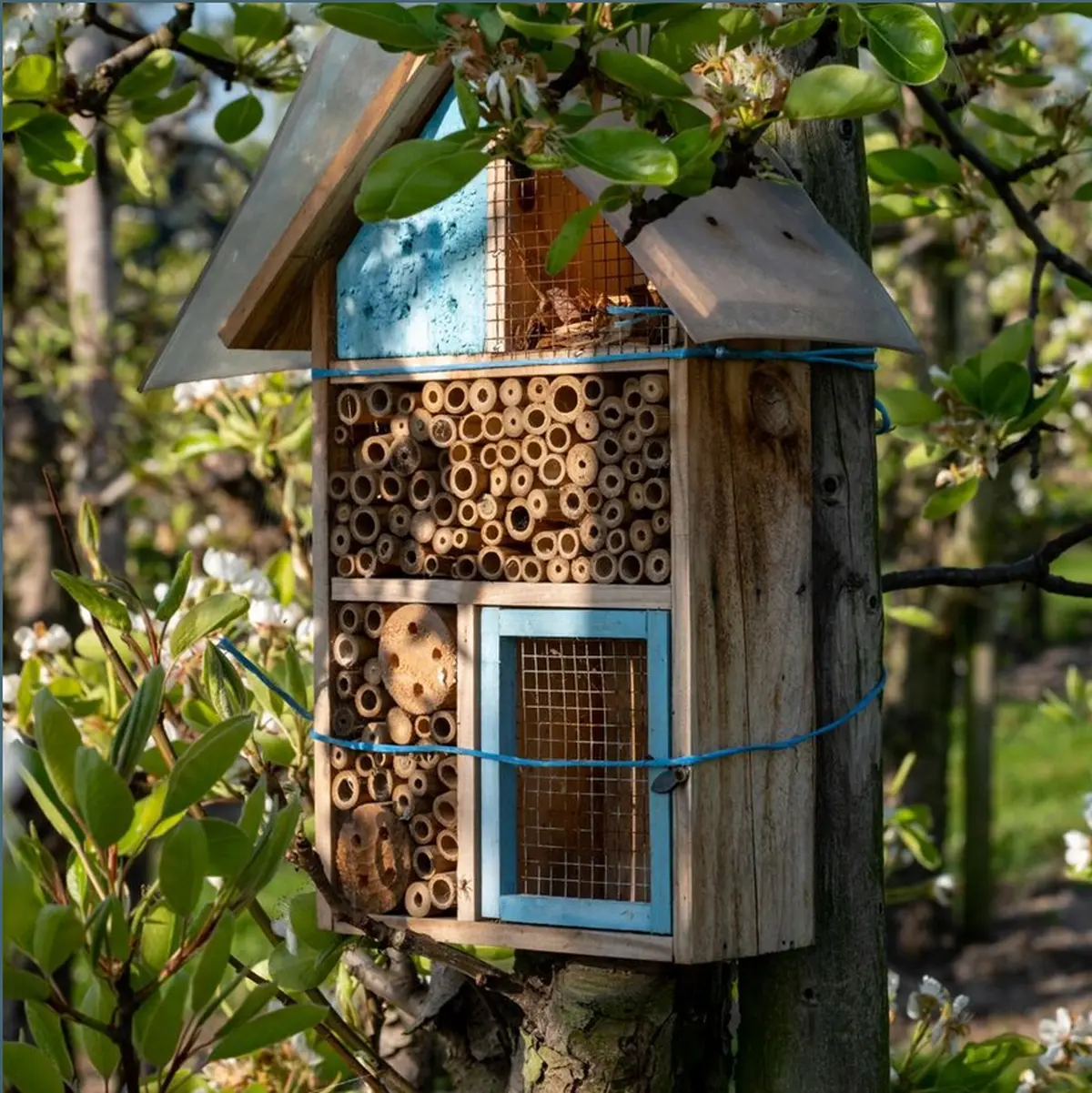Atelier nature  Accueillir la biodiversité au jardin d'hiver  à Niort
