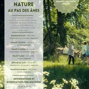 Atelier Nature au pas des ânes : encre végétale