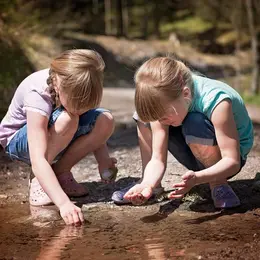Atelier nature découverte des petites bêtes dans l'eau