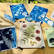 Atelier nature : Herbier cyanotype