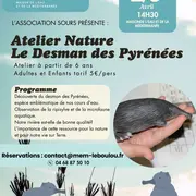 Atelier Nature Le Desman Des Pyrénées