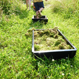 Atelier nature pour les moins de 3 ans : Les tout-petits en sortie