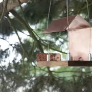 Atelier nichoir à oiseaux en métal à Saint-Jean-d'Illac (33)