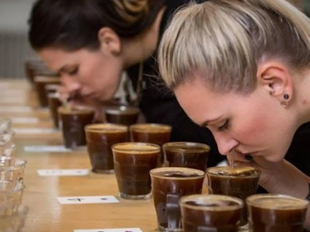 Atelier œnologie des cafés d'exception à Paris 6ème