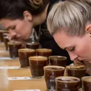 Atelier œnologie des cafés d'exception à Paris 6ème