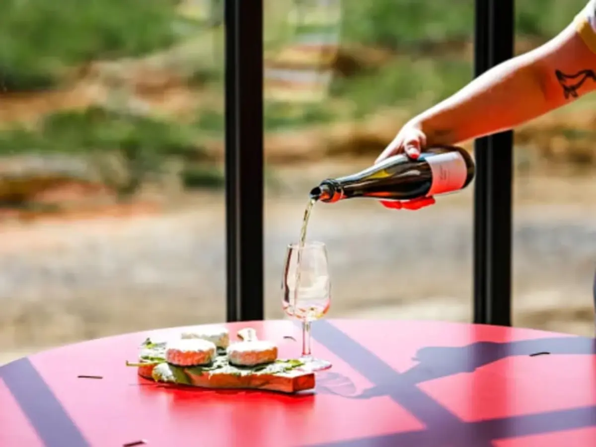 Atelier œnologique au domaine de la Selve (07)