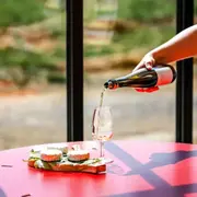 Atelier œnologique au domaine de la Selve (07)