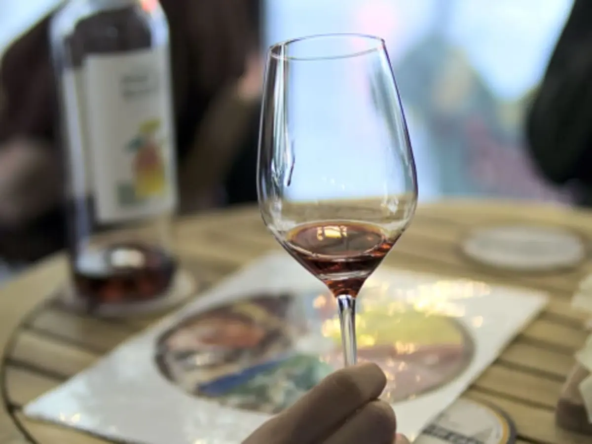 Atelier œnologique Les Couleurs du Vin à Bordeaux (33)