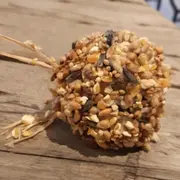 Atelier nourrisseur à oiseaux & Visite de la Ferme de St Denis