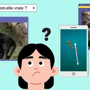 Atelier numérique : discerner le vrai du faux sur internet