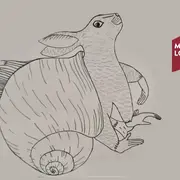 Atelier Numérique : Initiation Au Détourage De Photos