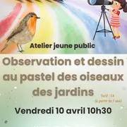 Atelier observation et dessin au pastel des oiseaux des jardins