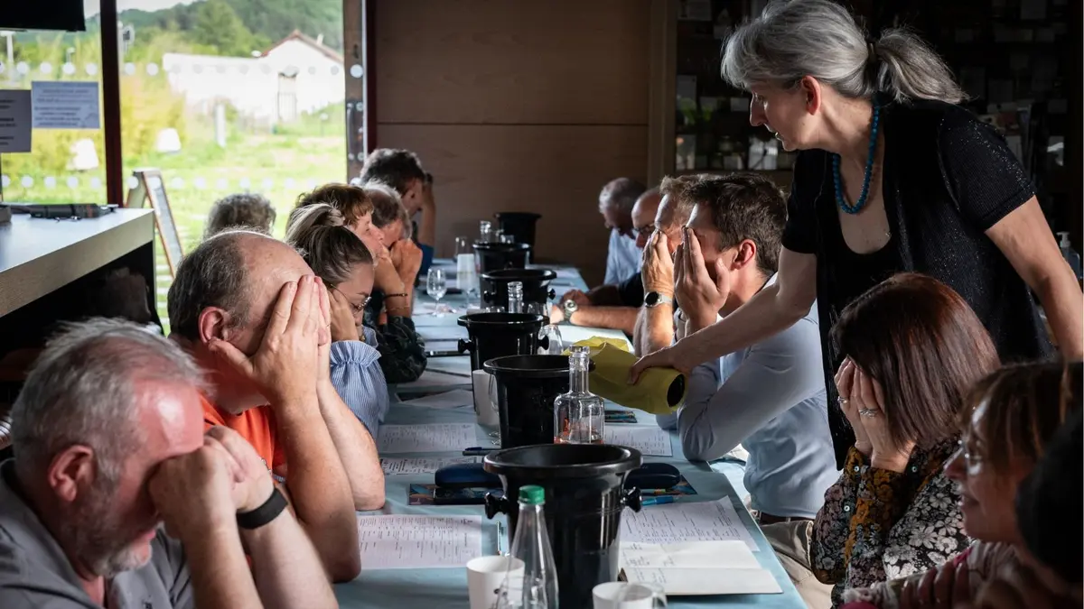 Atelier oenologie accord vins et fromages