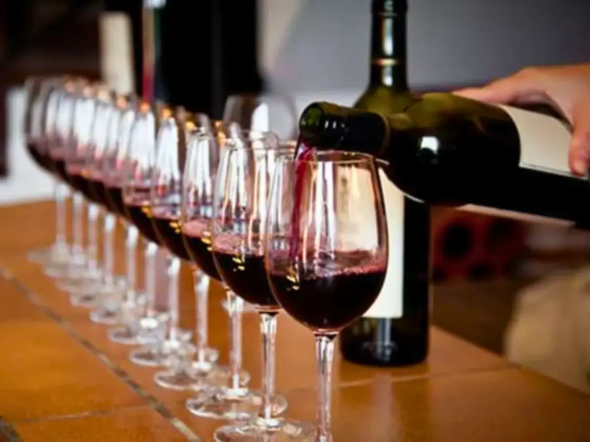 Atelier oenologie au Musée du Vin et du Négoce (33)