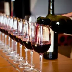 Atelier oenologie au Musée du Vin et du Négoce (33)