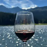 Sorties à Tarbes ce week-end (1 au 3 mai 2026) : 4 bons plans à découvrir d'urgence