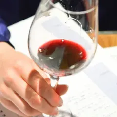 Atelier oenologique Bordeaux vs Bourgogne à Lyon