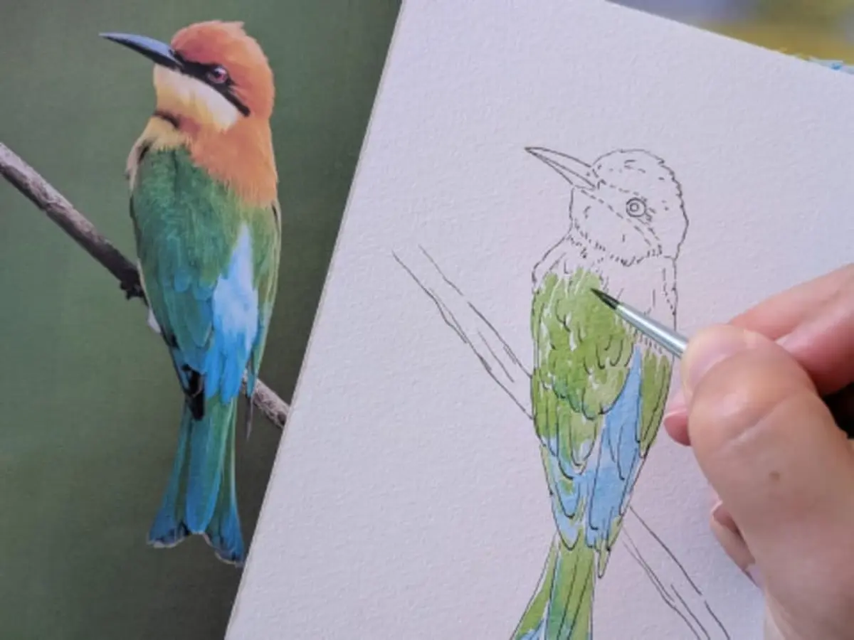 Atelier oiseaux à l'aquarelle à Bordeaux (33)