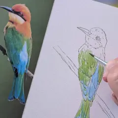 Atelier oiseaux à l'aquarelle à Bordeaux (33)