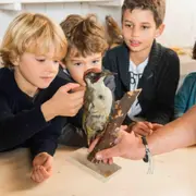 Atelier Oiseaux & Animaux à la Ferme de Gally de Sartrouville