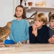 Atelier Oiseaux & Animaux à la Ferme de Gally de St-Cyr-l'Ecole