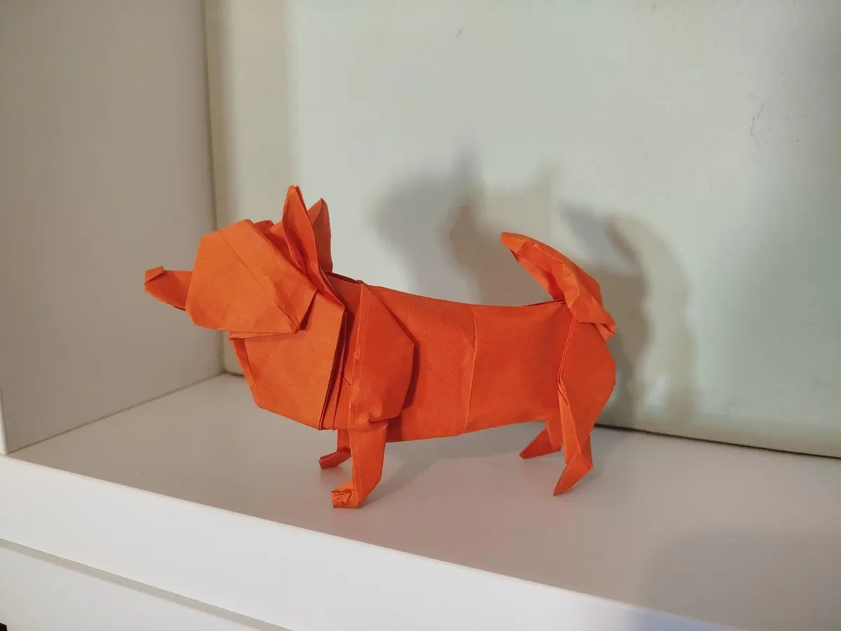 Atelier Origami avec Cédric Cavalié