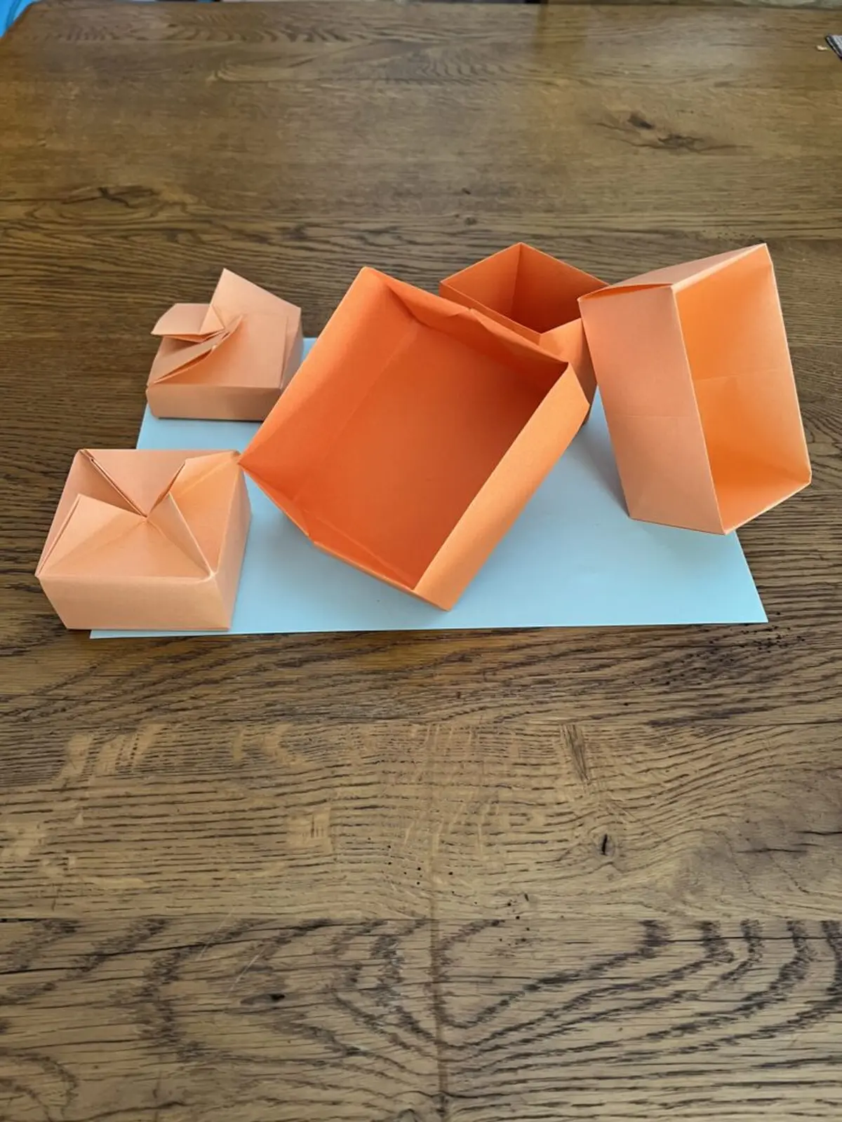 Atelier Origami - Pliages animés