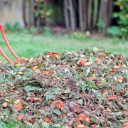 Atelier Pailler Plus, Arroser Moins