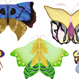 Atelier Papillons avec Juliette Binet