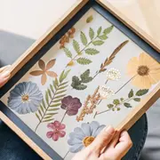 Atelier parent/enfant création d'un herbier artistique à Tours