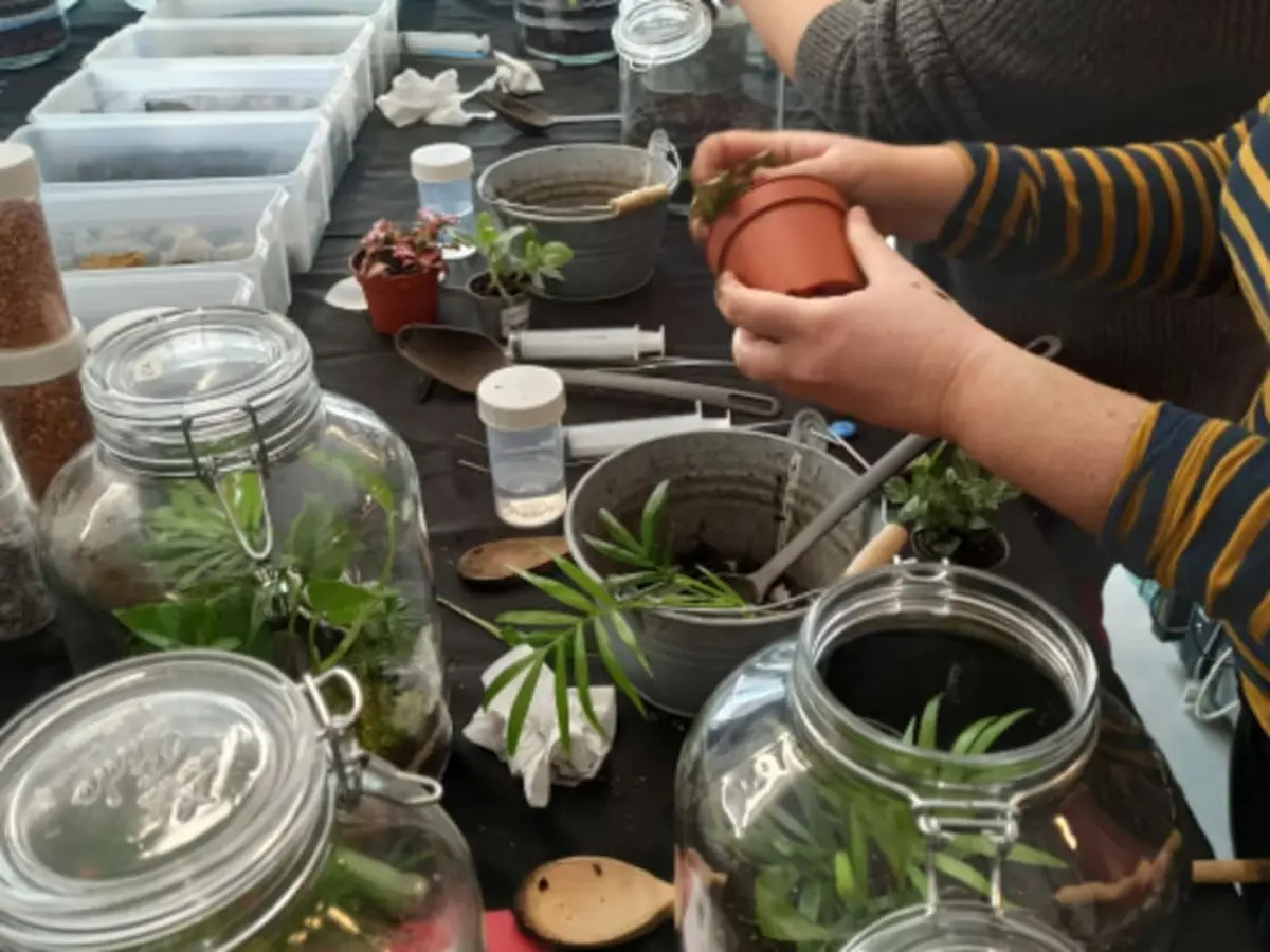 Atelier parent/enfant création d'un terrarium à Dijon (21)