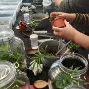 Atelier parent/enfant création d'un terrarium à Dijon (21)