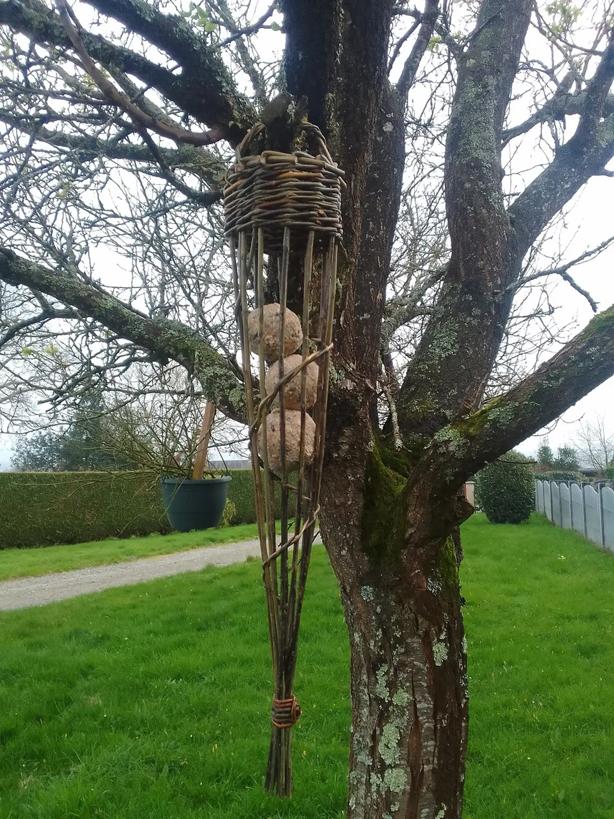 Atelier parent/enfant Fabrication d'une mangeoire à oiseaux en osier