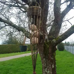 Atelier parent/enfant Fabrication d'une mangeoire à oiseaux en osier