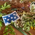 Atelier parent-enfant initiation cyanotype à Saint-Avertin (37)